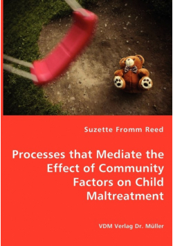 Processes that Mediate the Effect of Community Factors on Child Maltreatment