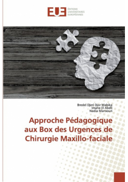 Approche Pédagogique aux Box des Urgences de Chirurgie Maxillo-faciale