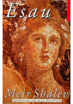 Esau A Novel