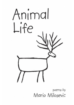 Animal Life