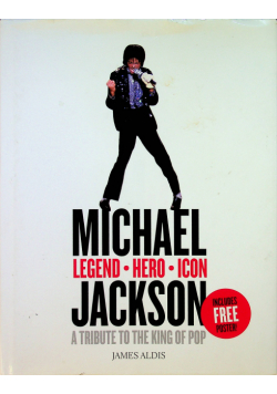 Michael Jordan legend hero icon