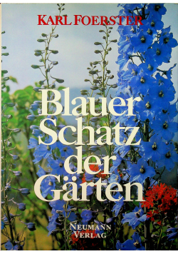 Blauer Schatz der Garten
