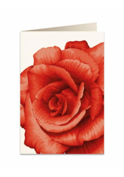 Karnet B6 + koperta 5676 Czerwona róża