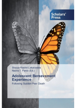 Adolescent Bereavement Experience