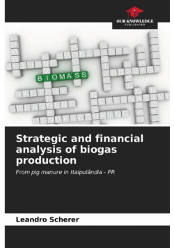 Strategic and financial analysis of biogas production