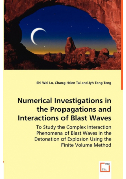 Numerical Investigations in the Propagations and Interactions of Blast Waves