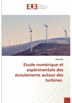 Etude numérique et expérimentale des écoulements autour des turbines