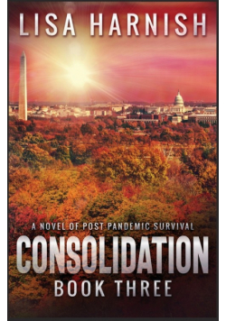 Consolidation