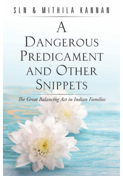 A Dangerous Predicament and Other Snippets
