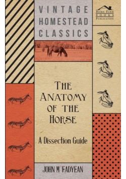 The Anatomy of the Horse - A Dissection Guide