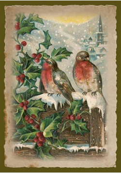 Karnet ST466 B6 + koperta Święta Ptaki