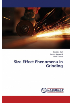 Size Effect Phenomena in Grinding