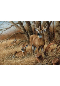 Puzzle 1000 Rodzinka jeleni