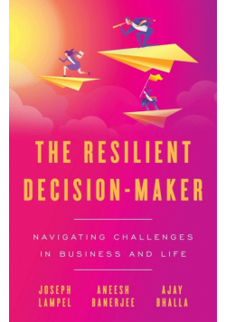 The Resilient Decision-Maker