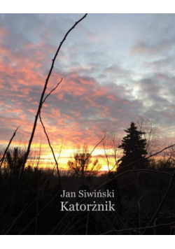 Katorżnik
