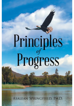 Principles of Progress