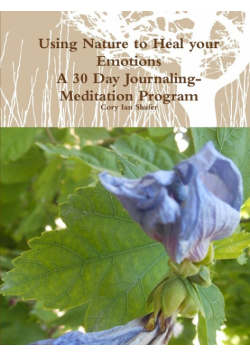 Using Nature to Heal your Emotions