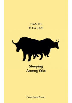 Sleeping among Yaks
