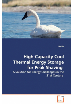 High-Capacity Cool Thermal Energy Storage for Peak Shaving - A Solution for Energy Challenges in the 21st Century