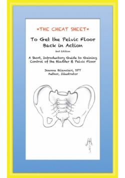The Cheat Sheet to Get the Pelvic Floor Back in Action