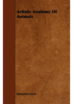 Artistic Anatomy Of Animals