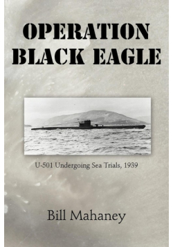 Operation Black Eagle
