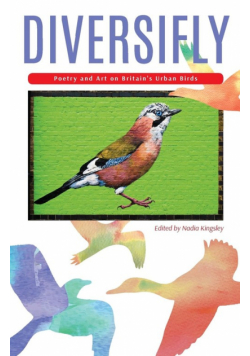 Diversifly