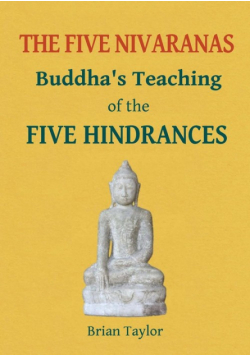 The Five Nivaranas