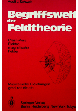 Begriffswelt der Feldtheorie