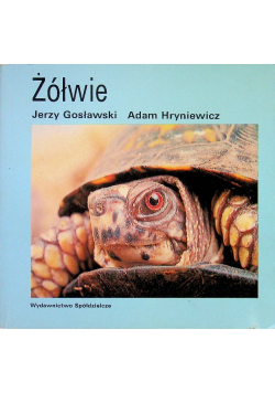 Żółwie