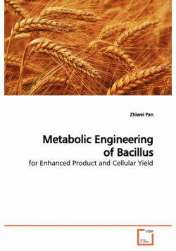 Metabolic Engineering of Bacillus