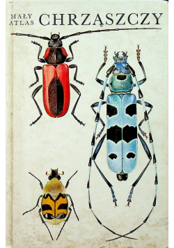 Mały atlas chrząszczy