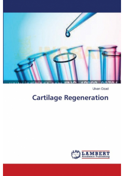 Cartilage Regeneration