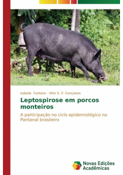 Leptospirose em porcos monteiros
