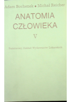Anatomia człowieka tom V