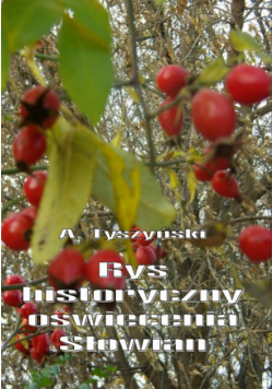 Rys historyczny oświecenia Słowian