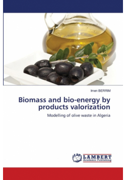 Biomass and bio-energy by products valorization