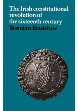 The Irish Constitutional Revolution of the Sixteenth Century