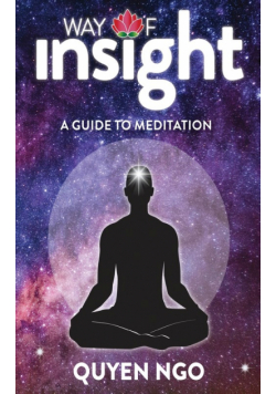 Way Of Insight