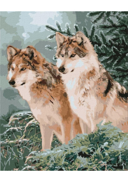 Malowanie po numerach - Wilcze spojrzenie 40x50cm