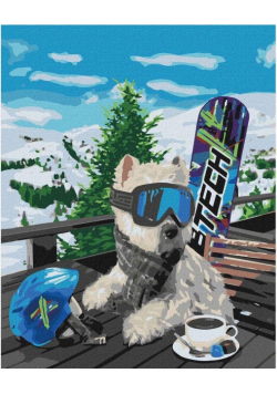 Malowanie po numerach - Snowboardzista 40x50