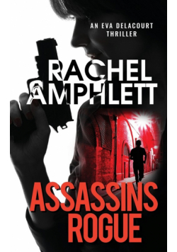 Assassins Rogue