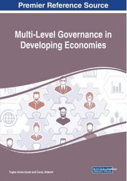 Multi-Level Governance in Developing Economies