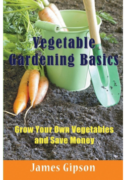 Vegetable Gardening Basics