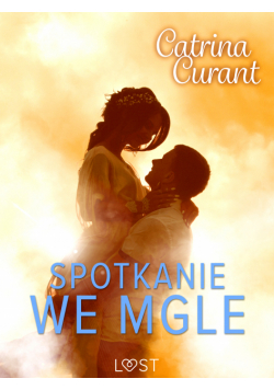 Spotkanie we mgle – opowiadanie erotyczne