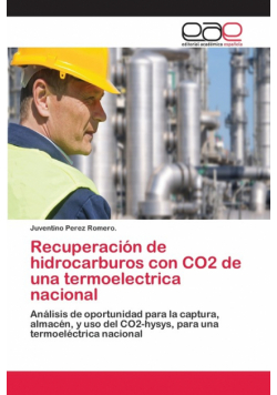 Recuperación de hidrocarburos con CO2 de una termoelectrica nacional