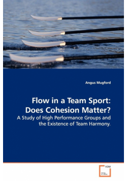 Flow in a Team Sport