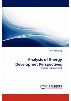 Analysis of Energy Developmet Perspectives