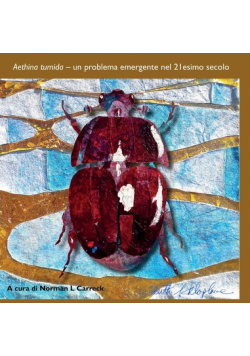 Aethina tumida