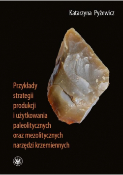 Przykłady strategii produkcji i użytkowania..